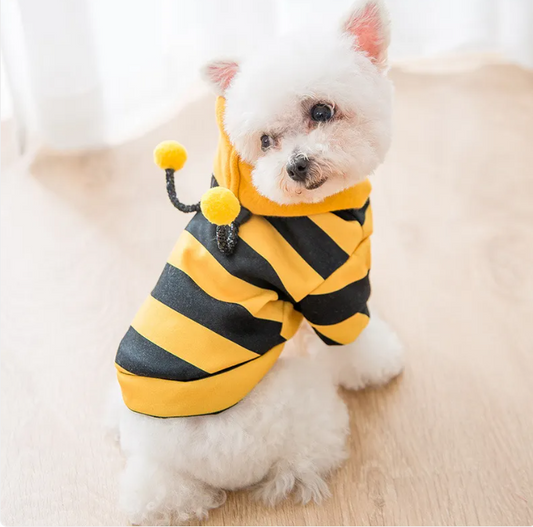 Sweat à capuche pour animaux de compagnie thème abeille mignonne
