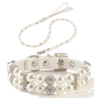 Halsband und Leine für Haustiere im Set