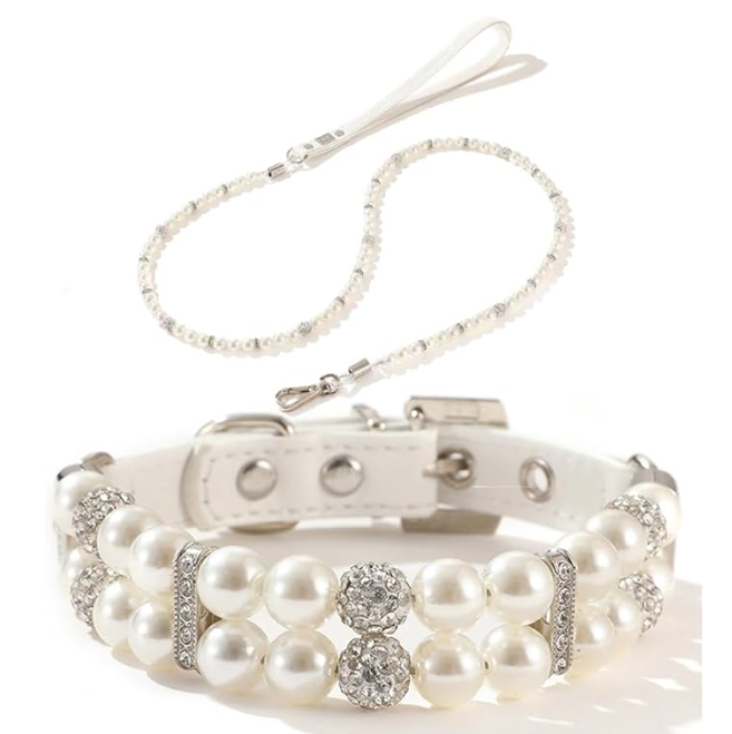 Halsband und Leine für Haustiere im Set