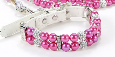 Halsband und Leine für Haustiere im Set